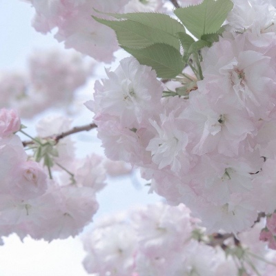 汾西FurryQQ群介绍